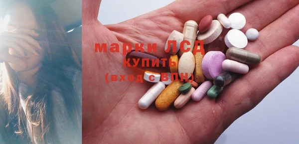 стаф Майский