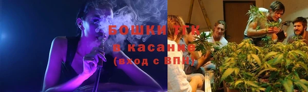 индика Магадан