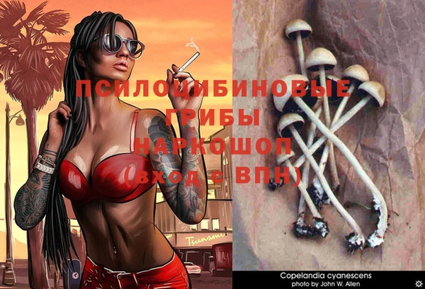 мет Бородино