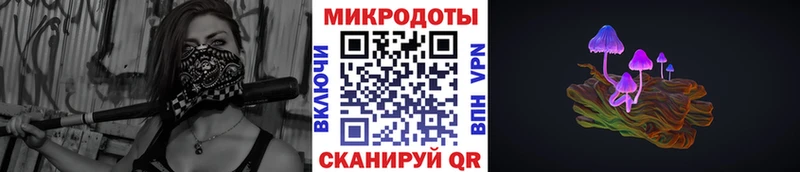 где купить наркотик  Шарья  Псилоцибиновые грибы мицелий 